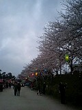 d0007957_2283629.jpg