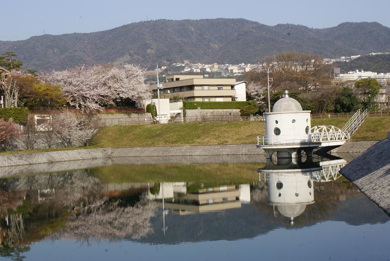 旧松下幸之助邸の桜 西宮 満池谷 たんぶーらんの戯言