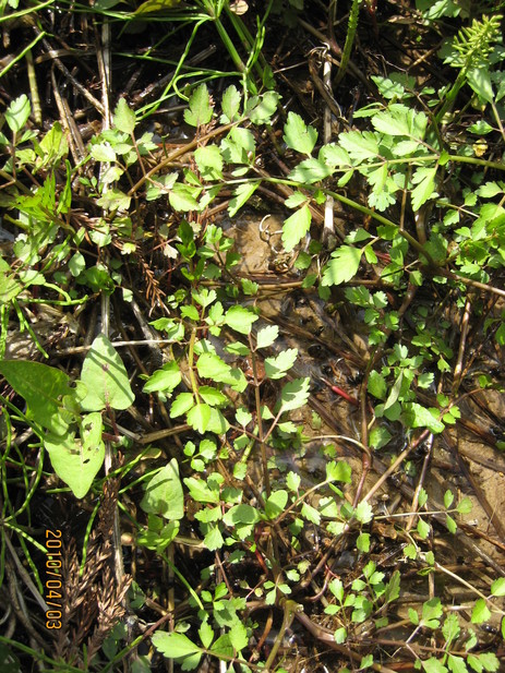 e0121558_23133770.jpg