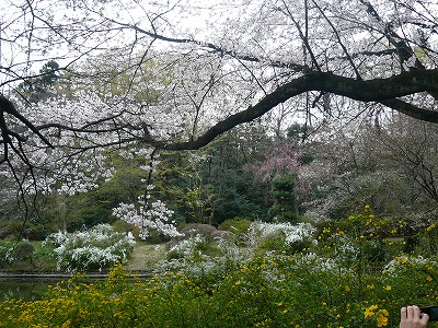 c0089360_22452945.jpg