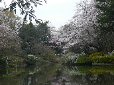 c0089360_22453991.jpg