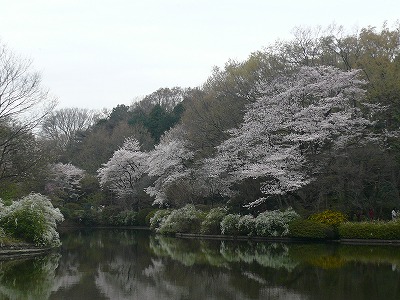 c0089360_2323666.jpg