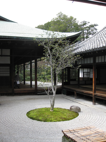 3月京都旅行：建仁寺_b0064461_1292429.jpg