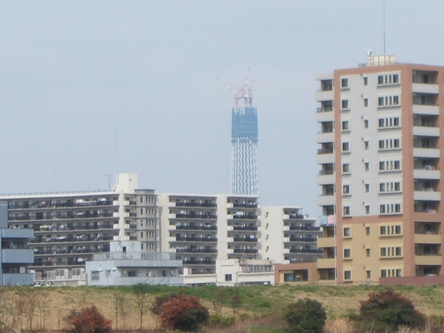 e0125264_22171942.jpg