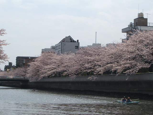 e0125264_22431213.jpg