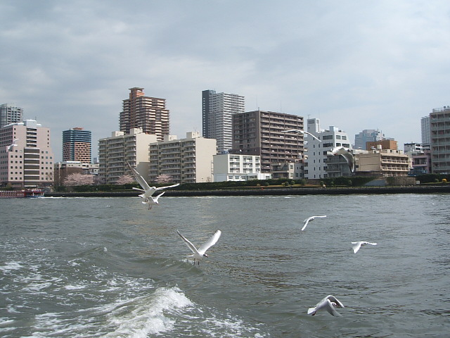 e0125264_22454645.jpg