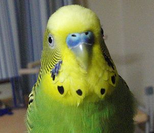 f0196665_0122175.jpg