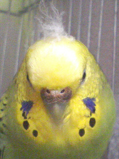 f0196665_0384098.jpg