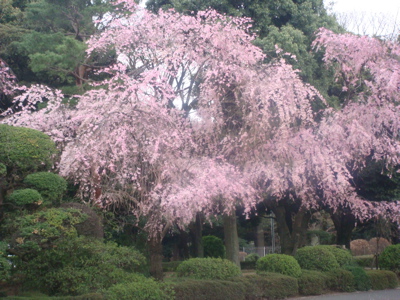 a0083571_19204018.jpg