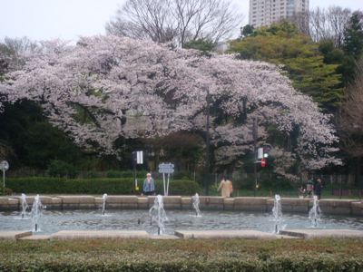 a0083571_196244.jpg