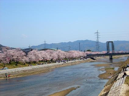 c0153173_2101696.jpg