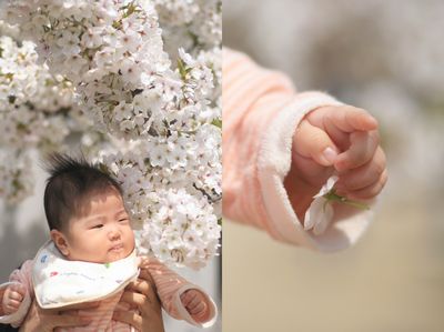 菜の花と桜。_c0154774_21431774.jpg