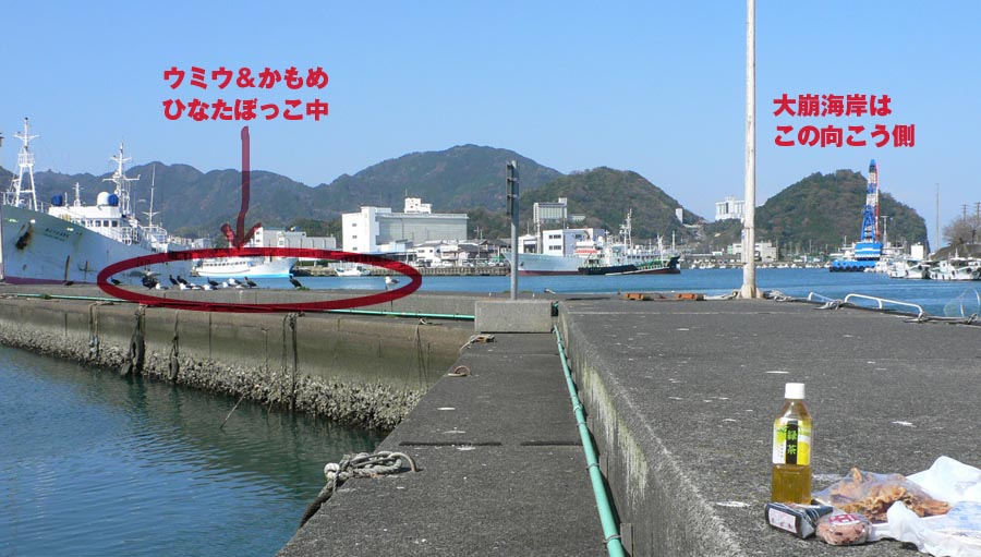 f0012674_1148280.jpg