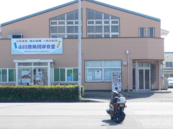 f0012674_1171858.jpg