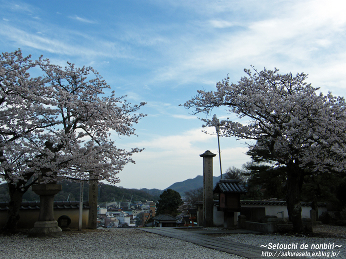 今日の西国寺_c0120976_14152519.jpg