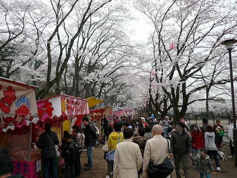 【八王子】富士森公園の桜_f0105681_20495755.jpg