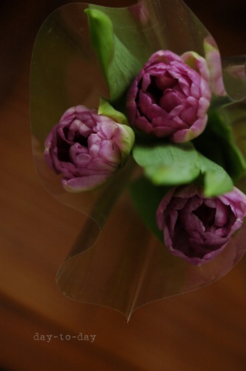 e0170082_22461311.jpg