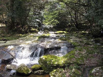 f0003283_055714.jpg