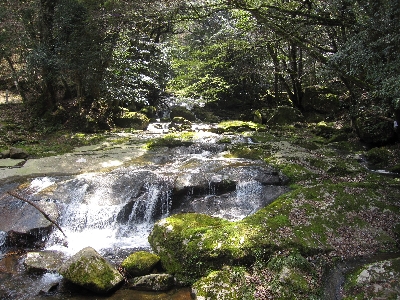 ４月３日「お花見」_f0003283_055714.jpg