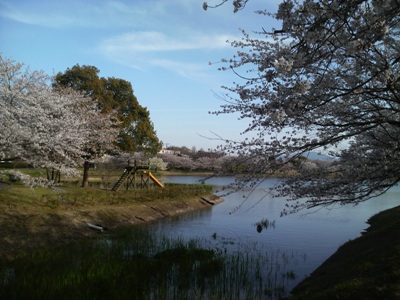 駕与丁公園(かよいちょうこうえん)に初めて行きました。_e0188087_4135614.jpg