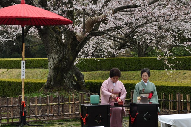 お花見だぞ~~!!_a0126590_68153.jpg