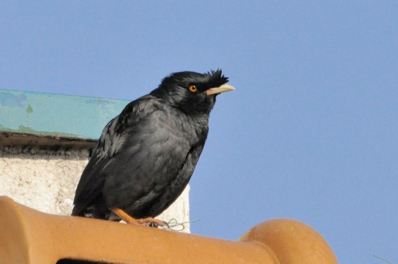 a0143491_20534011.jpg