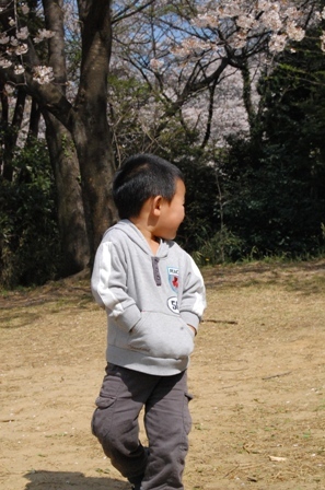 b0054391_450630.jpg