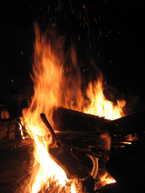 e0185092_20131131.jpg