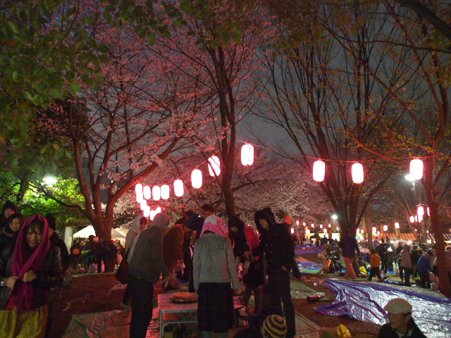 東京の風景　お花見_f0024992_1101678.jpg