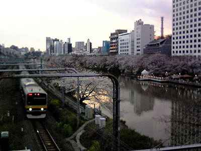b0020695_1133413.jpg