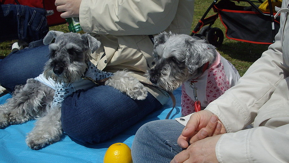 c0138198_10325028.jpg