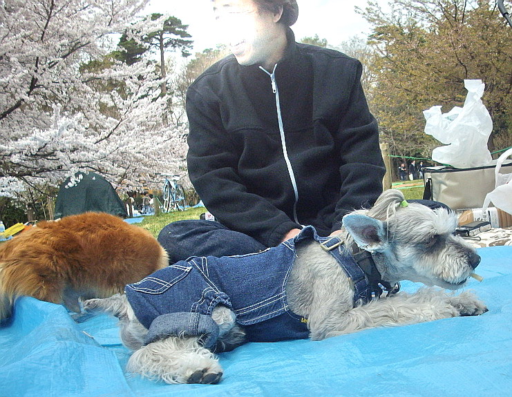 c0138198_10332873.jpg