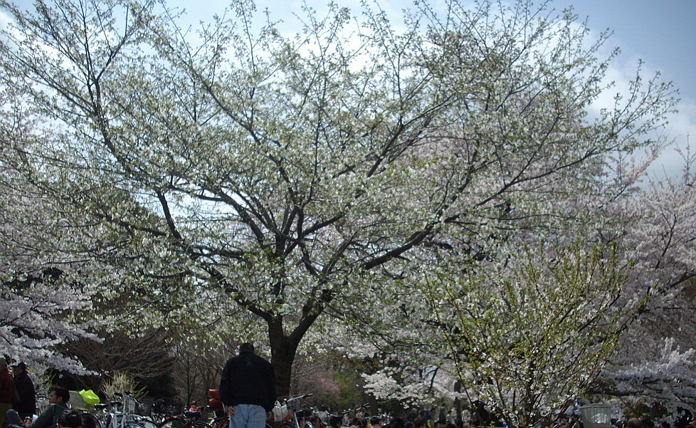 c0138198_10404694.jpg