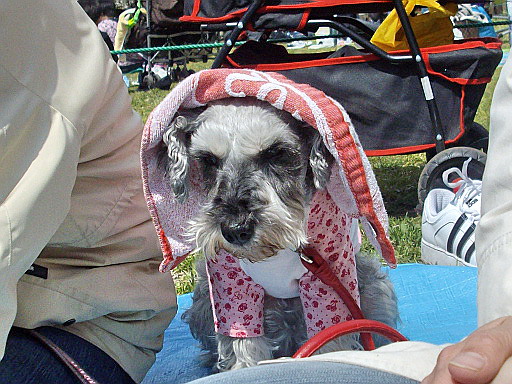 c0138198_1081387.jpg