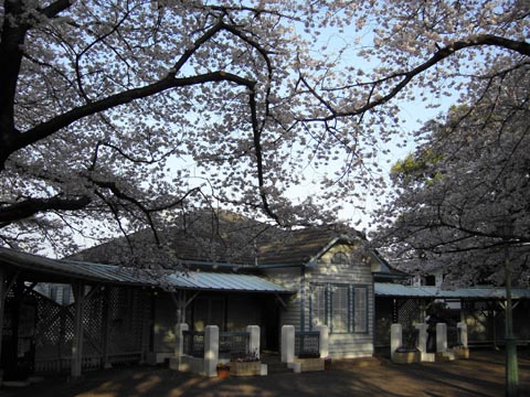 c0184800_15515280.jpg