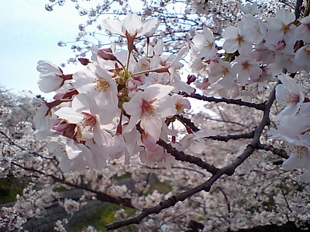 f0233900_0154712.jpg