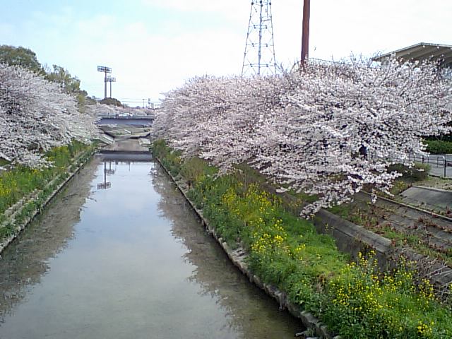 f0233900_0164190.jpg