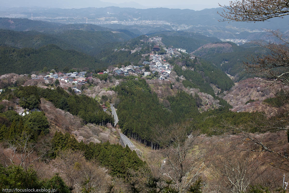 吉野山　3_f0220502_22241951.jpg