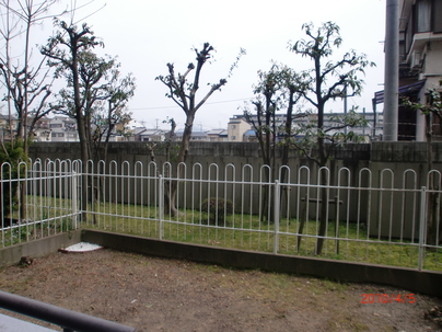 a0167204_230676.jpg
