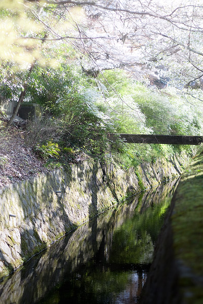 c0034905_1522579.jpg