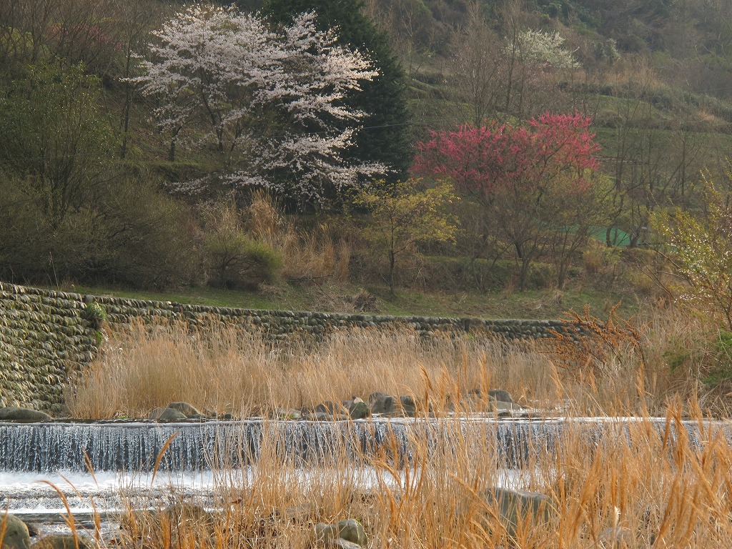 c0163207_12371.jpg
