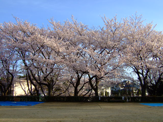 f0152308_20213987.jpg