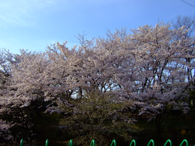 f0152308_2023593.jpg