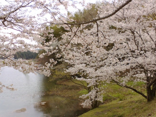 中部台運動公園_e0099212_9545086.jpg