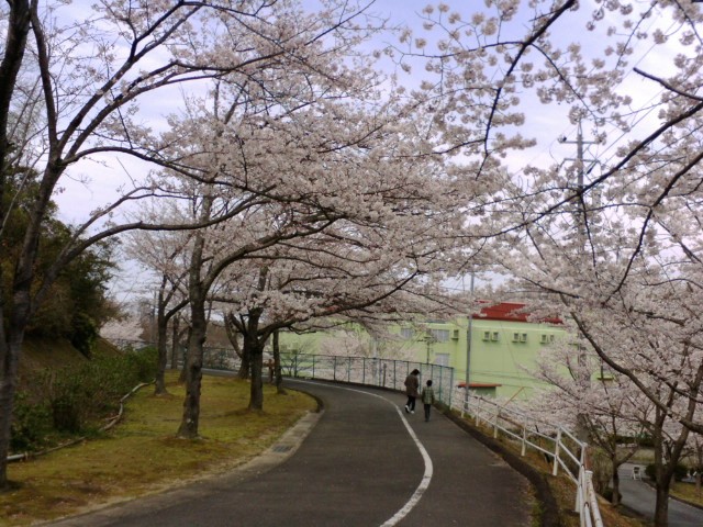 中部台運動公園_e0099212_9574141.jpg