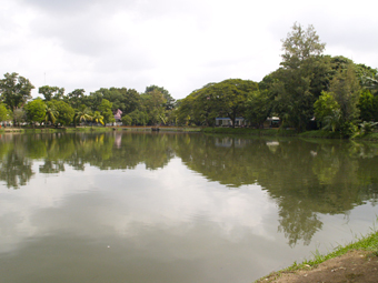 e0112213_1727644.jpg