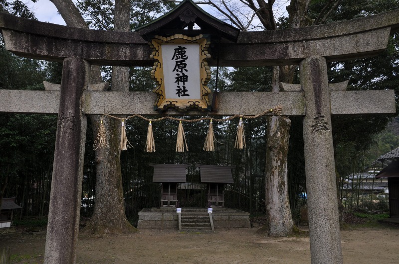 トンネルをぬけると福井県だった_f0213613_19501117.jpg