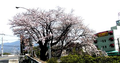e0125014_1232171.jpg