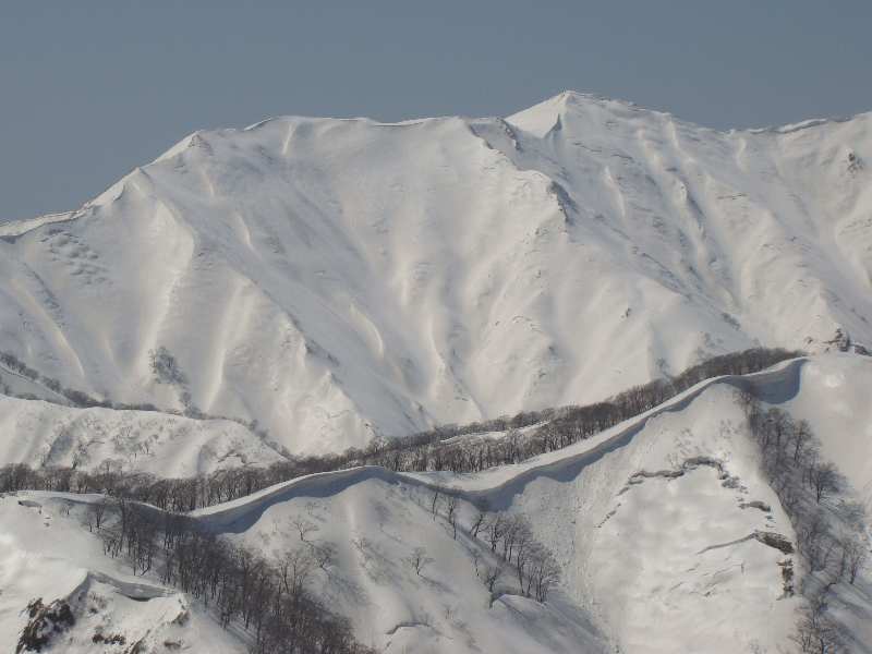 a0127015_21195176.jpg