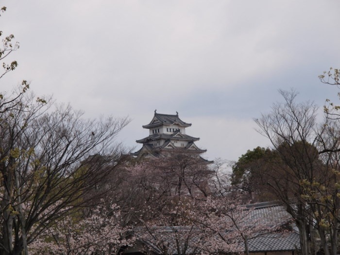４月３日～４日姫路城＆淡路島_c0116915_23494669.jpg